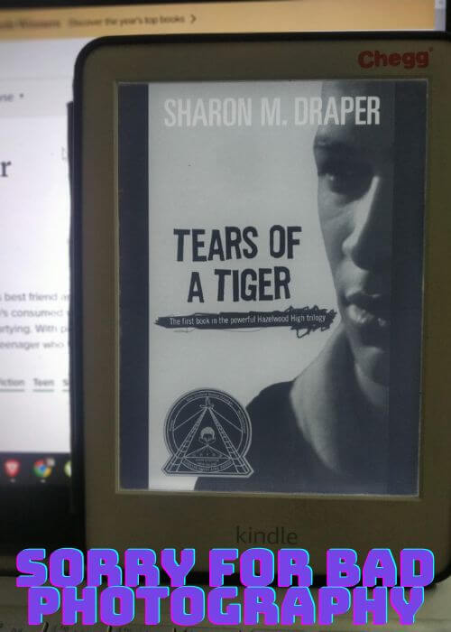 Tears of a Tiger Characters