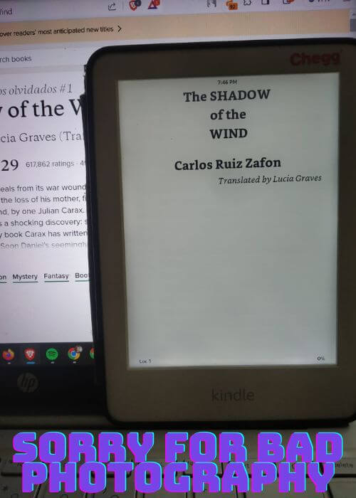 shadow of the wind book characters